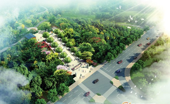 惠東白花鎮項目